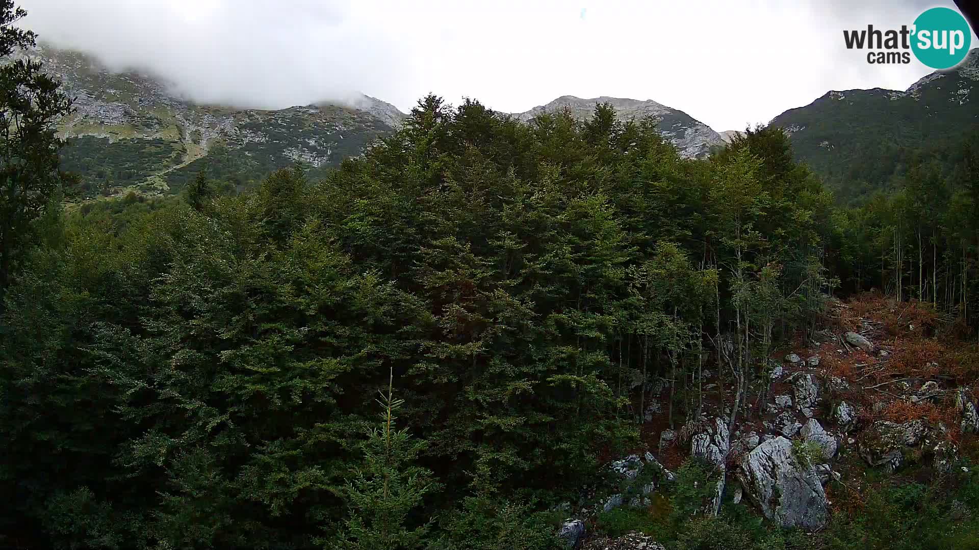 Webcam PLANINA RAZOR (1315) | Blick auf Vogel und Globoko