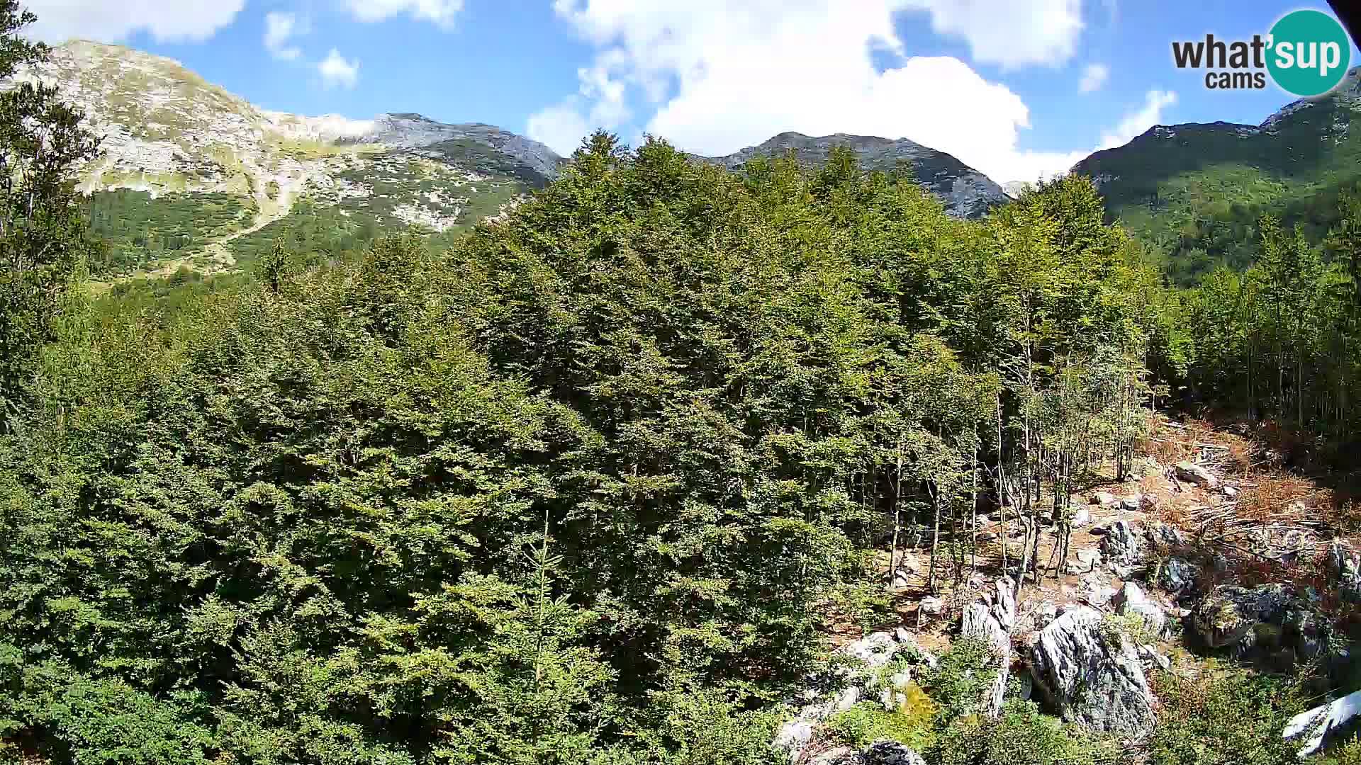 Livecam PLANINA RAZOR (1315) | vue sur Vogel et Globoko