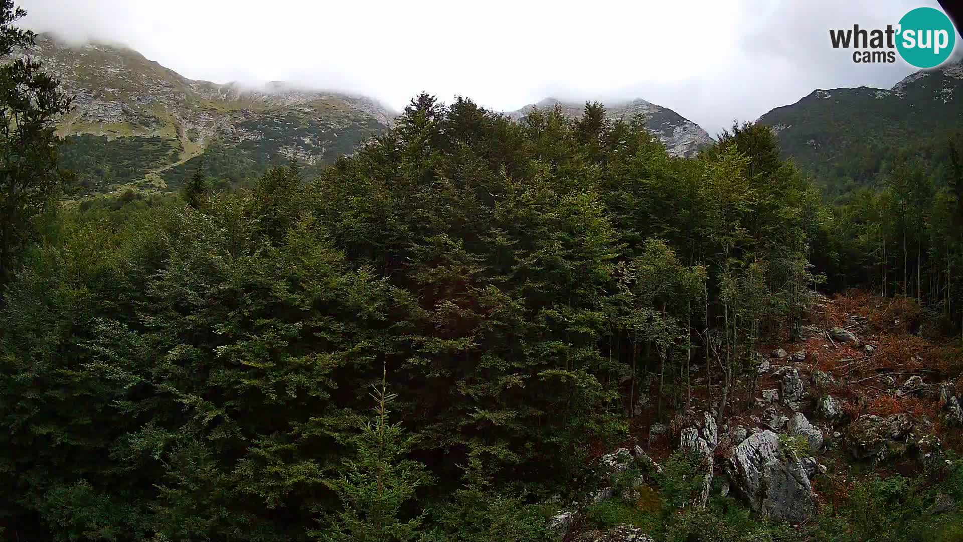 Livecam PLANINA RAZOR (1315) | vue sur Vogel et Globoko