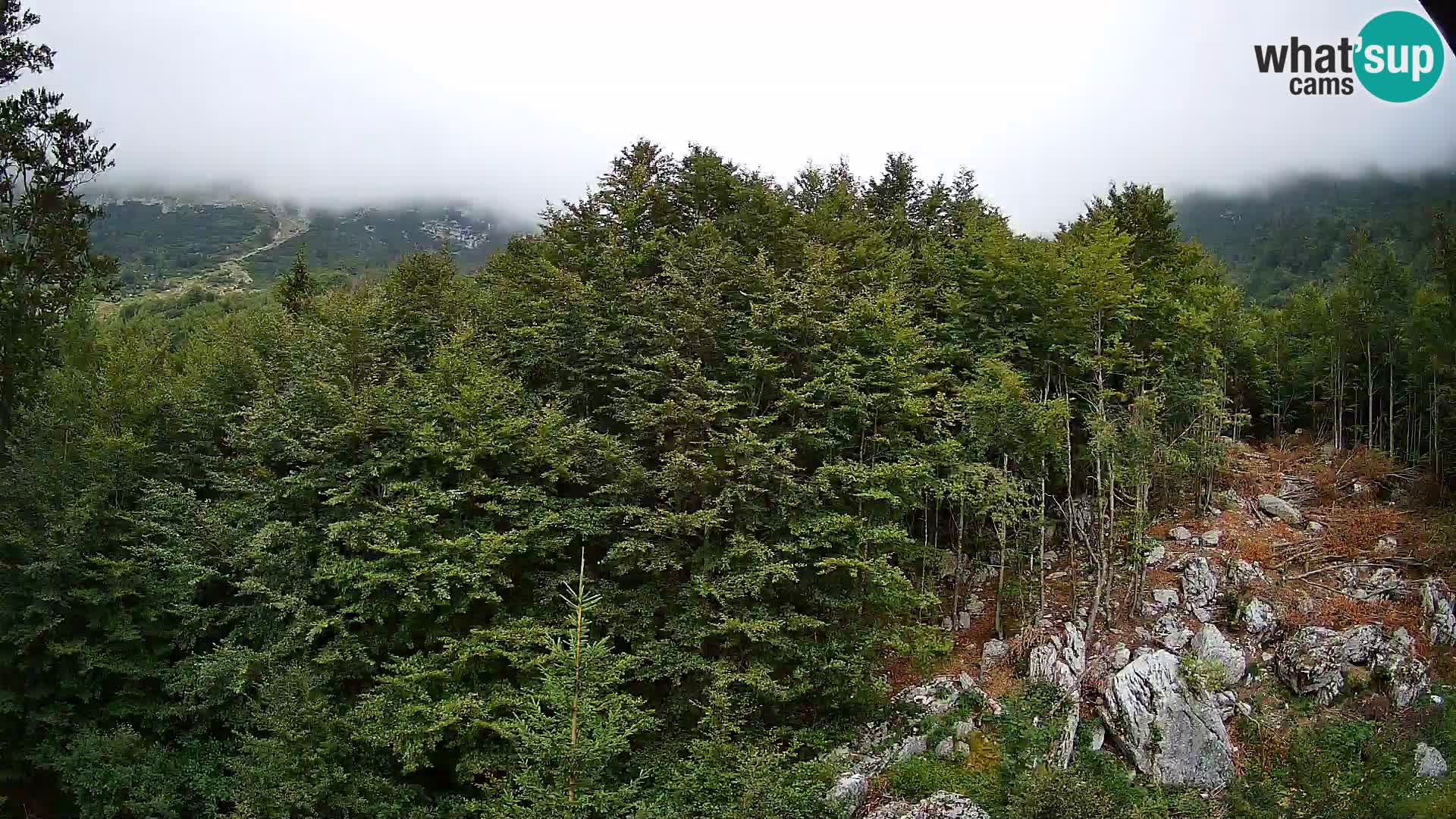 PLANINA RAZOR web kamera (1315) | pogled na Vogel i Globoko