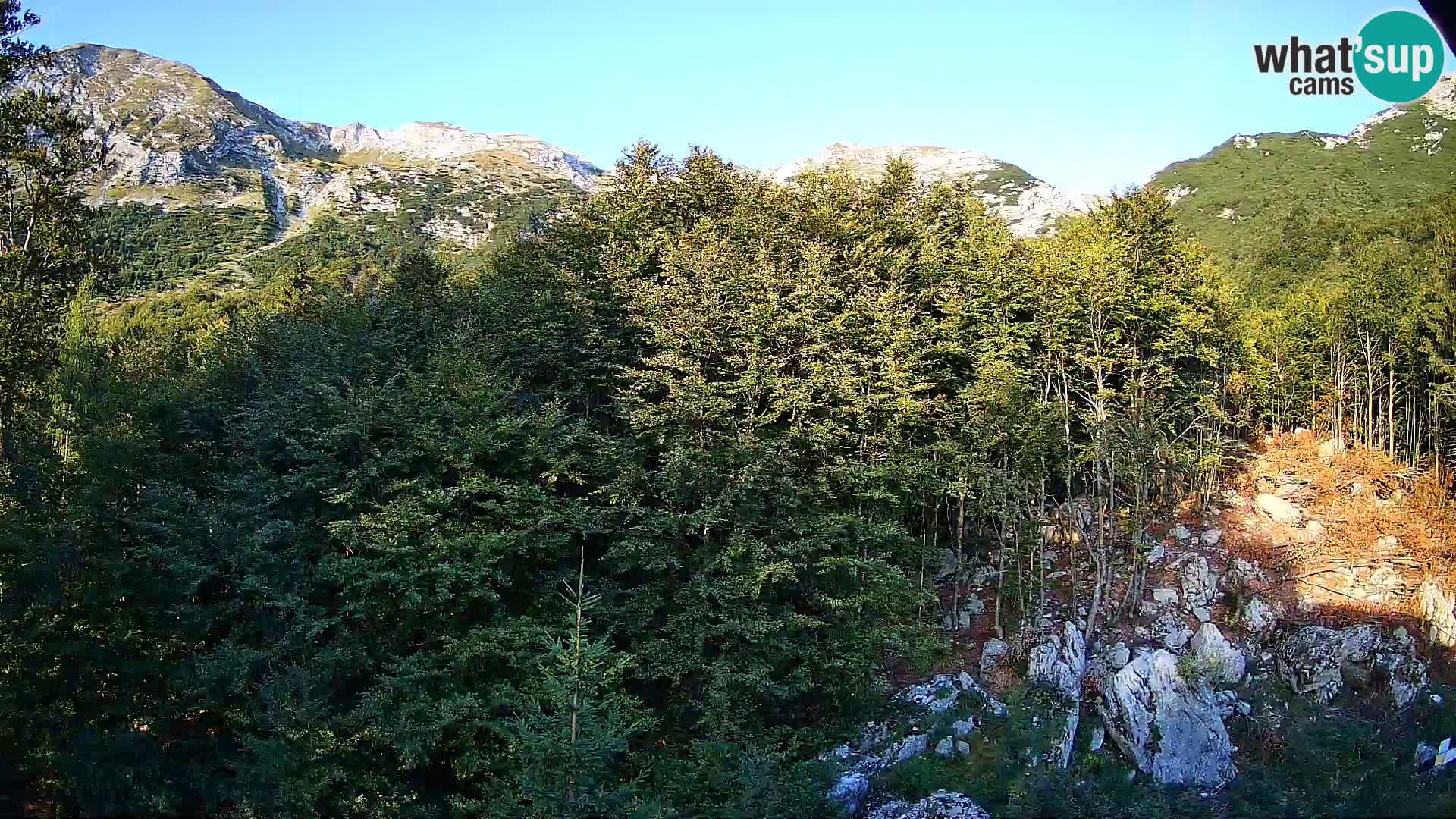 Webcam PLANINA RAZOR (1315) | Blick auf Vogel und Globoko
