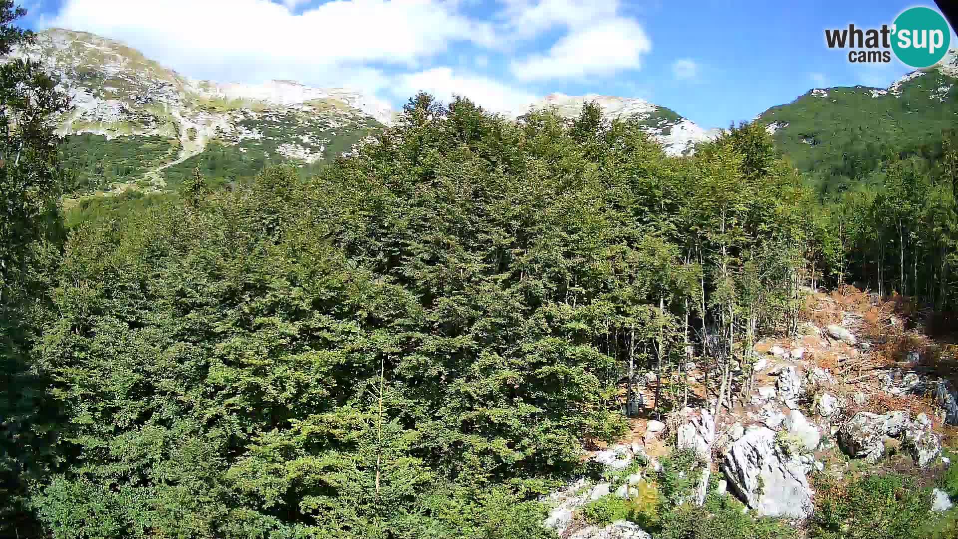 Webcam PLANINA RAZOR (1315) | Blick auf Vogel und Globoko