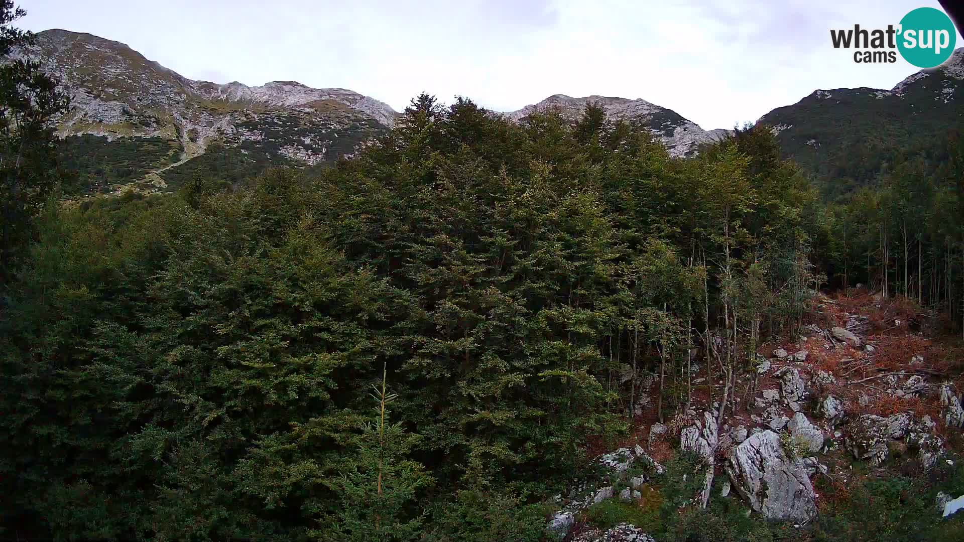Livecam PLANINA RAZOR (1315) | vue sur Vogel et Globoko