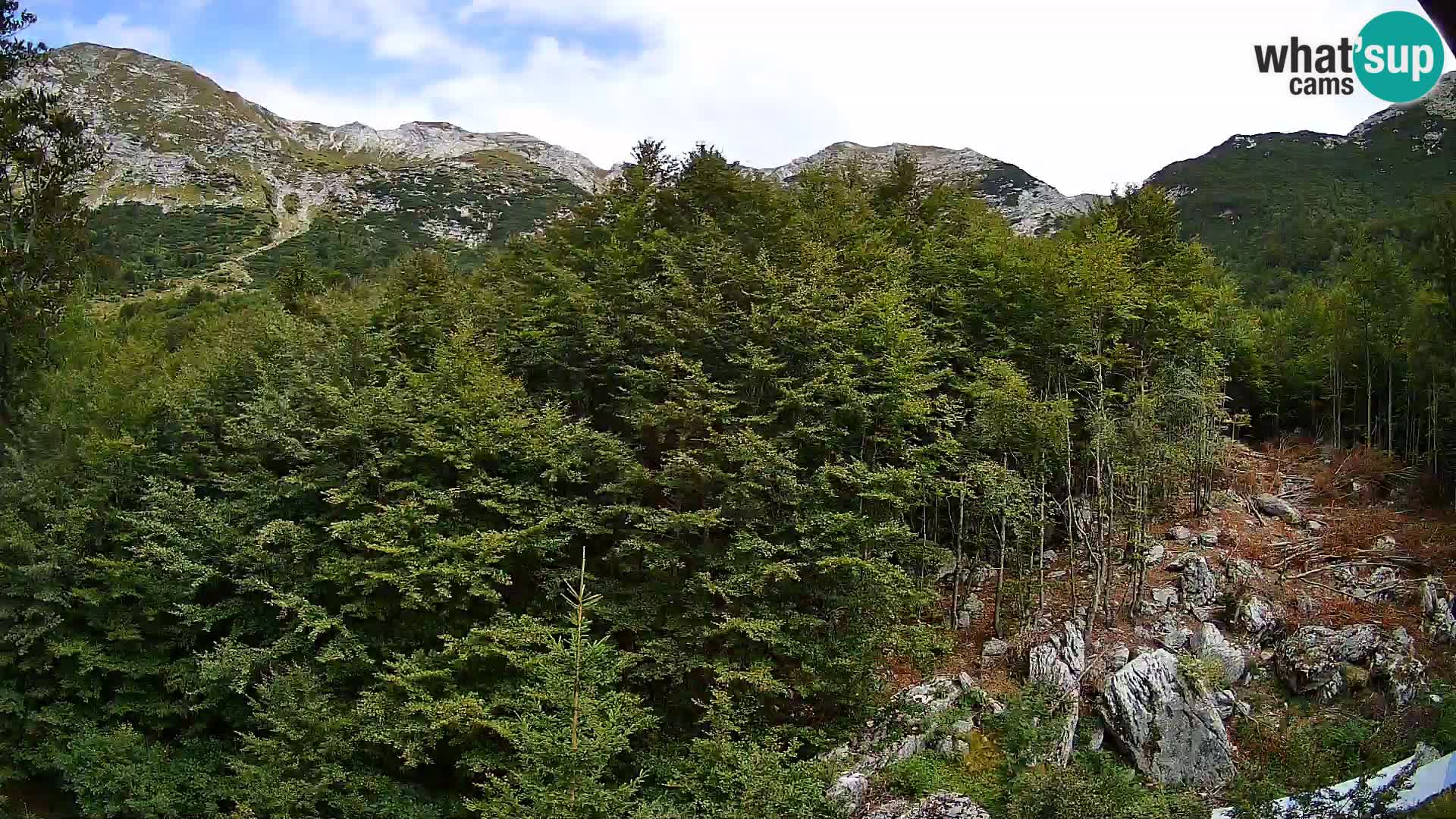 Webcam PLANINA RAZOR (1315) | Blick auf Vogel und Globoko
