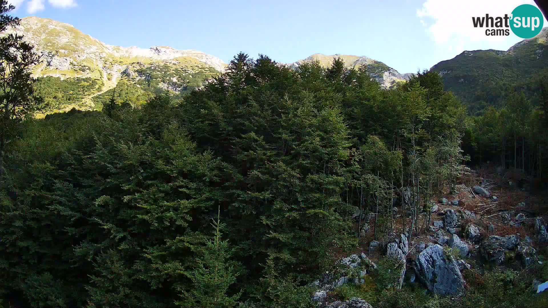 PLANINA RAZOR kamera (1315) | pogled na Vogel in Globoko