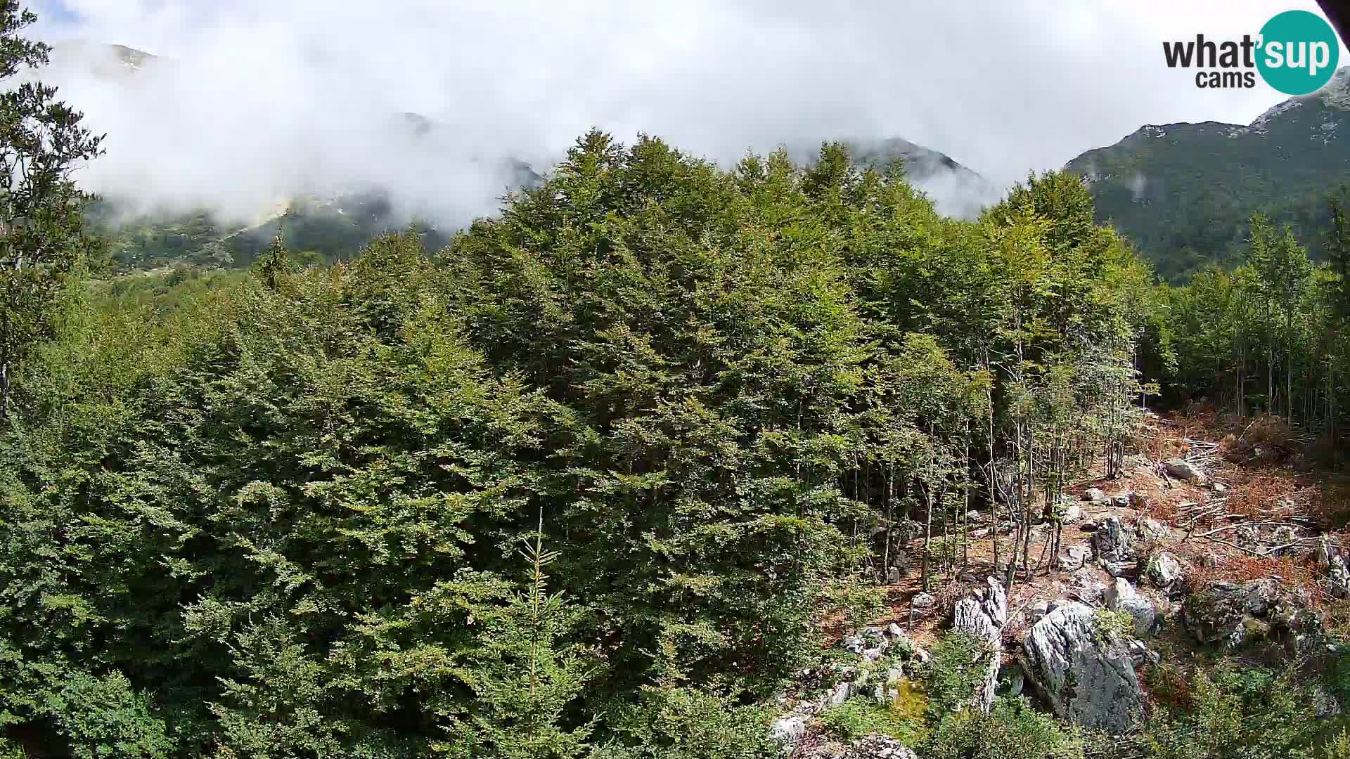 PLANINA RAZOR kamera (1315) | pogled na Vogel in Globoko