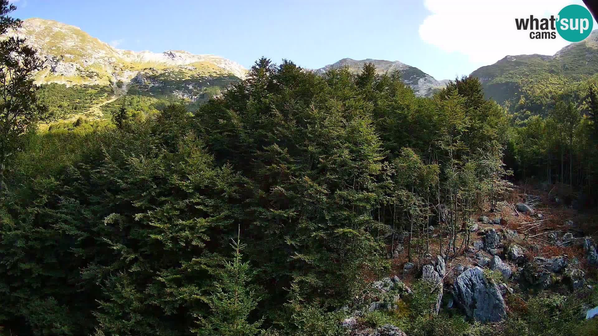 Webcam PLANINA RAZOR (1315) | Blick auf Vogel und Globoko