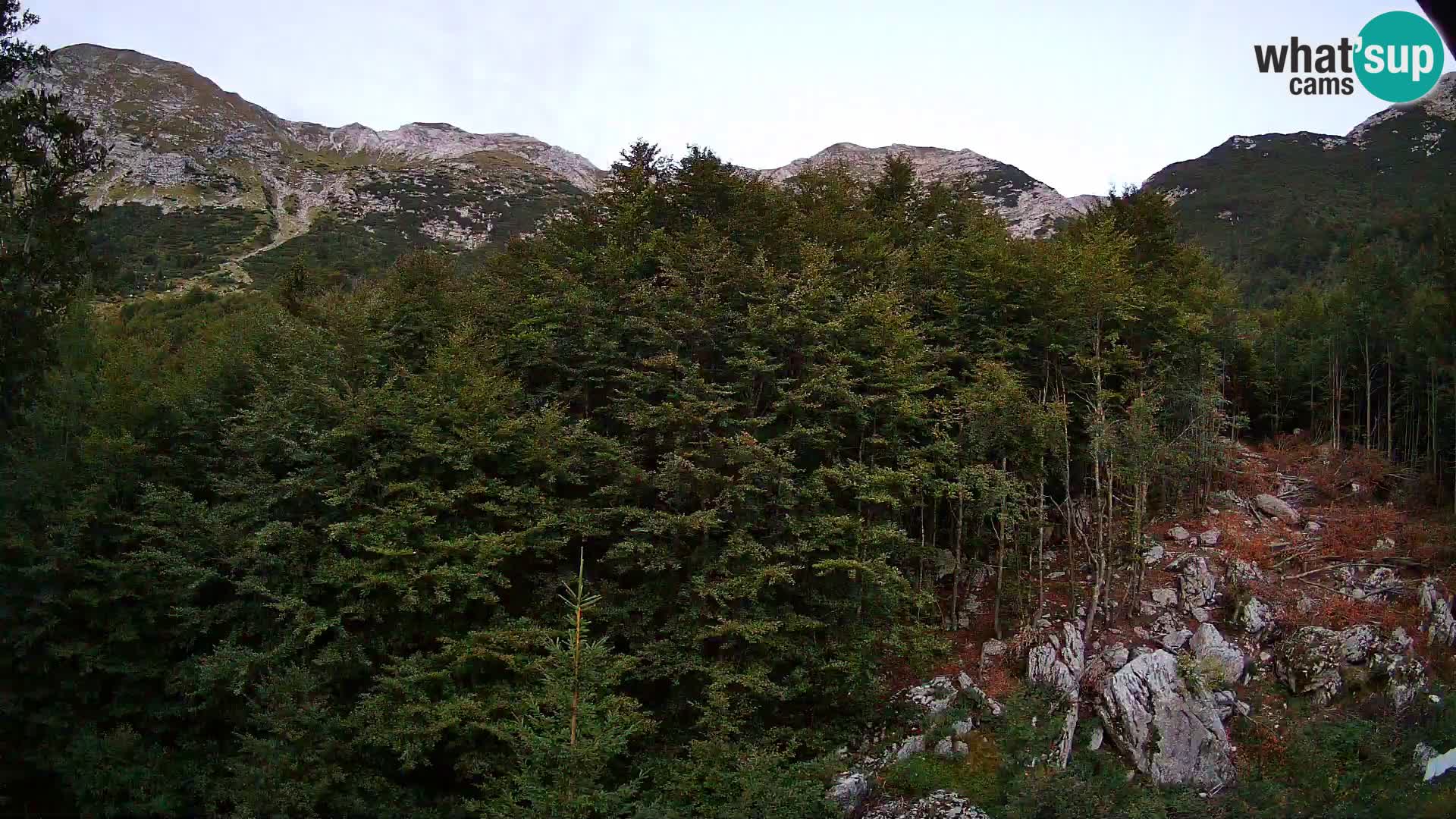 PLANINA RAZOR webcam (1315) | view to Vogel and Globoko