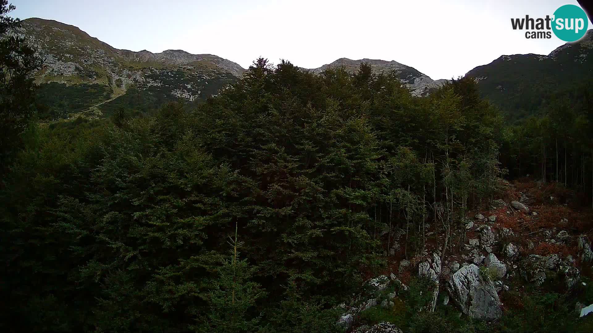 PLANINA RAZOR Live Cam (1315) | vista su Vogel e Globoko