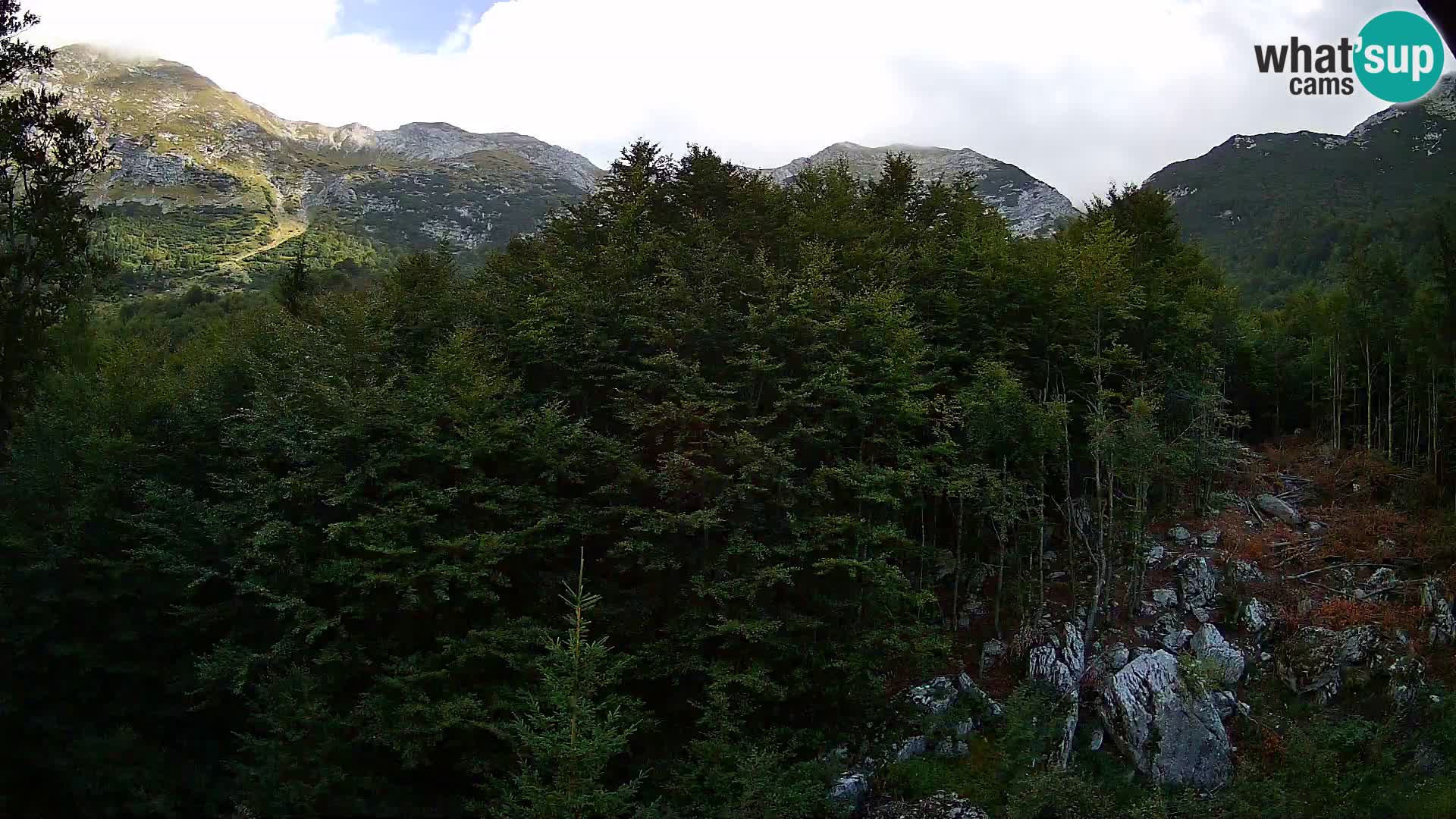 Livecam PLANINA RAZOR (1315) | vue sur Vogel et Globoko