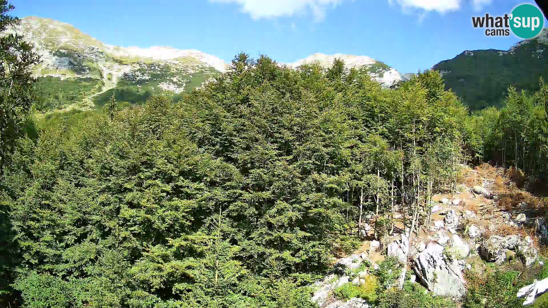 Webcam PLANINA RAZOR (1315) | Blick auf Vogel und Globoko