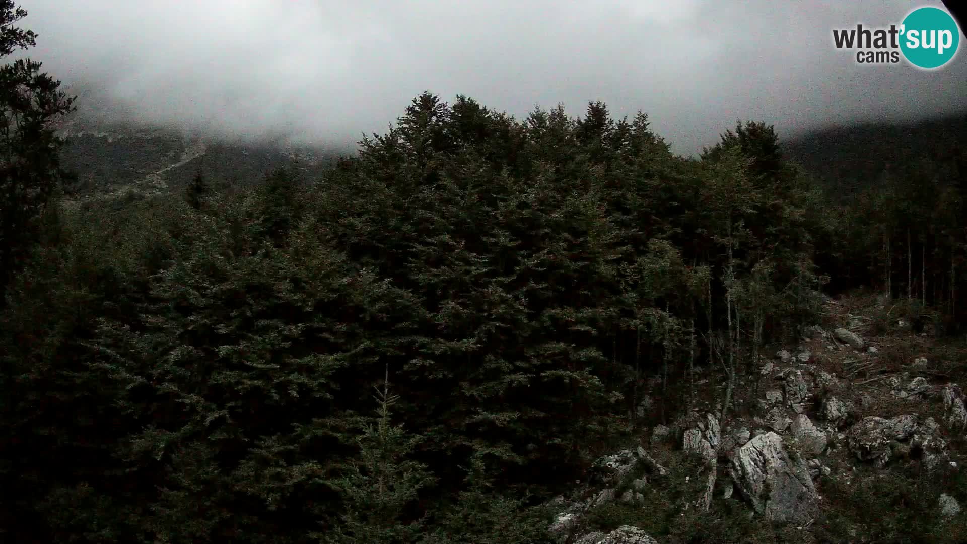 PLANINA RAZOR Live Cam (1315) | vista su Vogel e Globoko