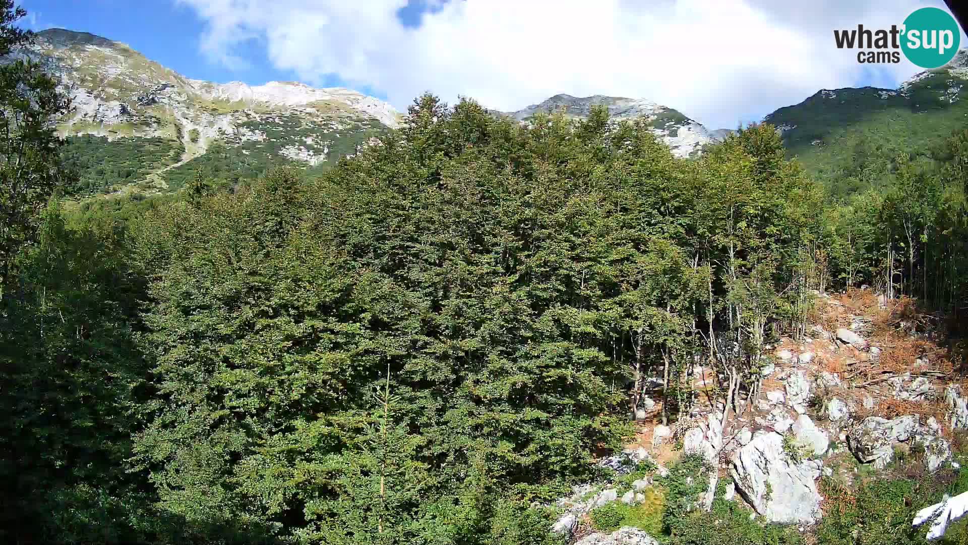 Livecam PLANINA RAZOR (1315) | vue sur Vogel et Globoko