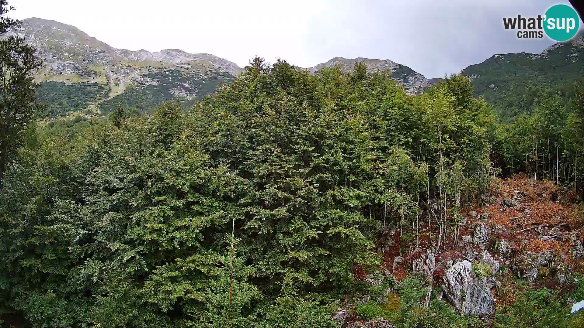 Webcam PLANINA RAZOR (1315) | Blick auf Vogel und Globoko