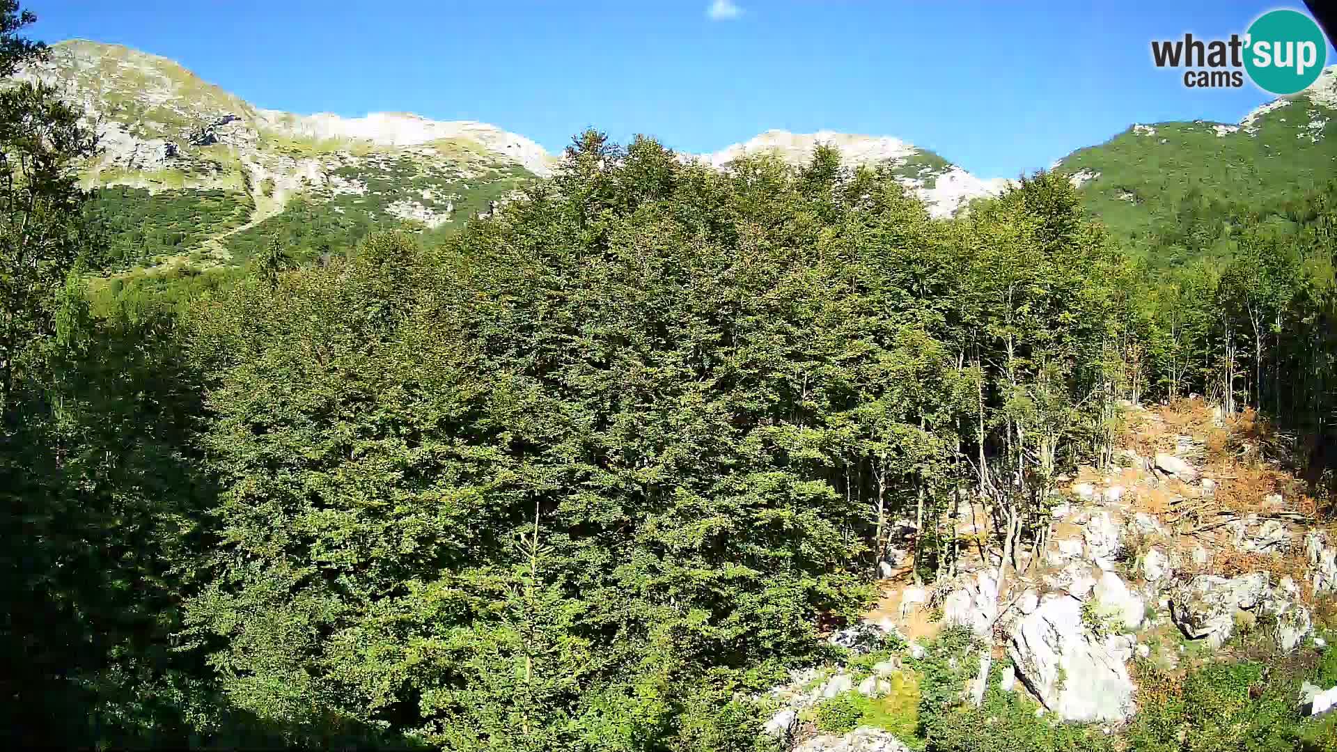 PLANINA RAZOR kamera (1315) | pogled na Vogel in Globoko