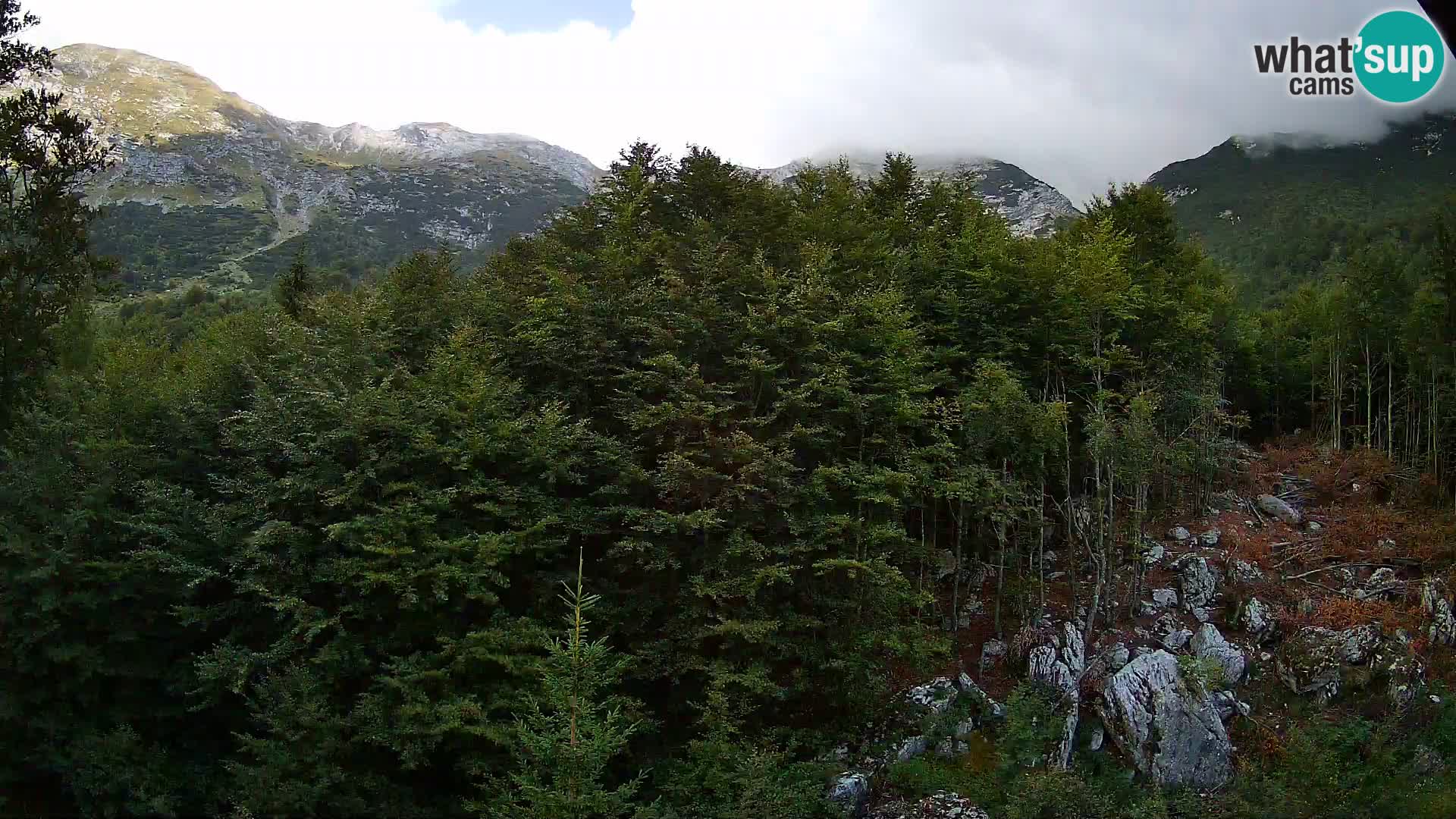 PLANINA RAZOR webcam (1315) | view to Vogel and Globoko