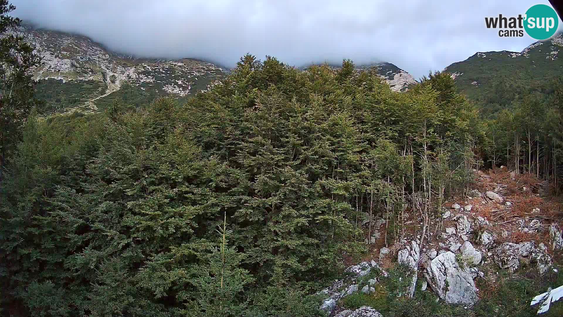 PLANINA RAZOR Live Cam (1315) | vista su Vogel e Globoko