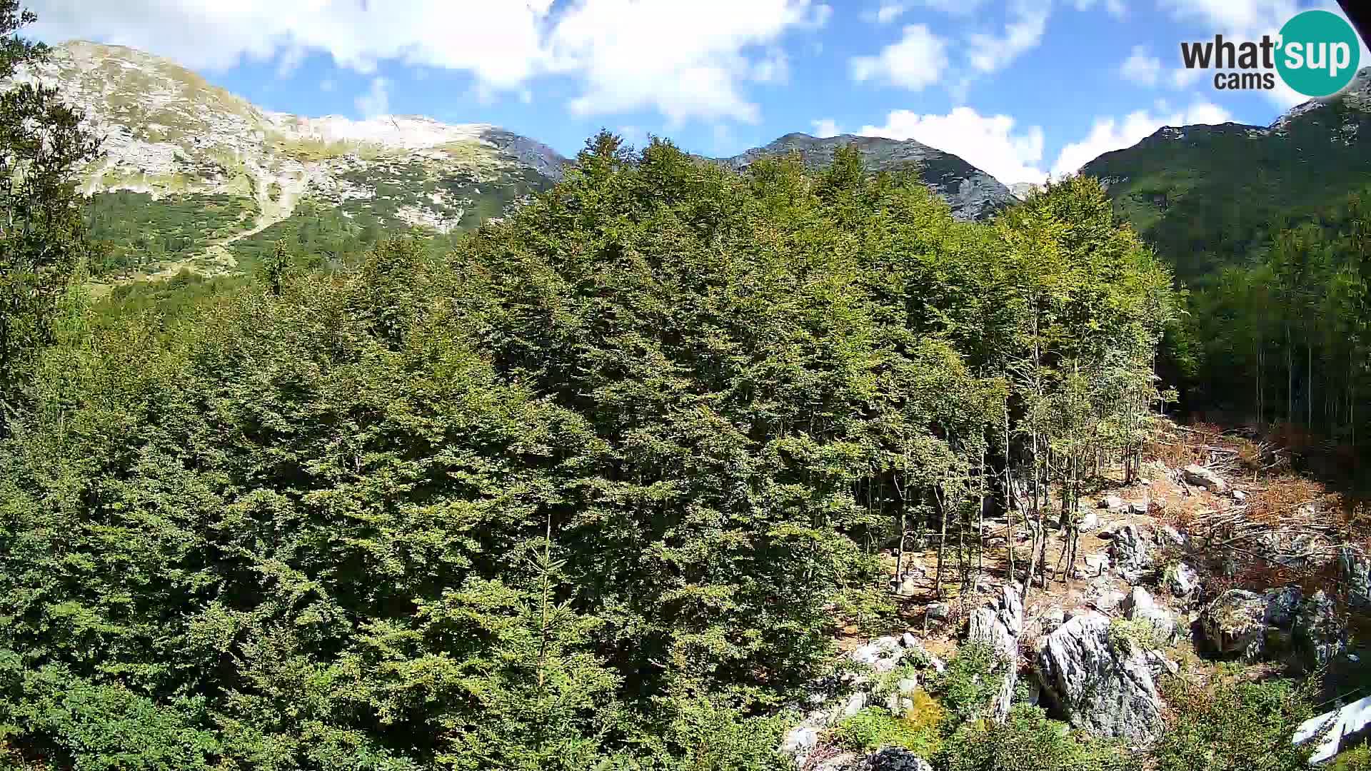 PLANINA RAZOR web kamera (1315) | pogled na Vogel i Globoko