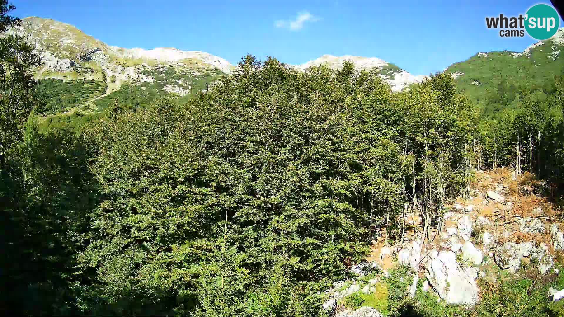 Webcam PLANINA RAZOR (1315) | Blick auf Vogel und Globoko