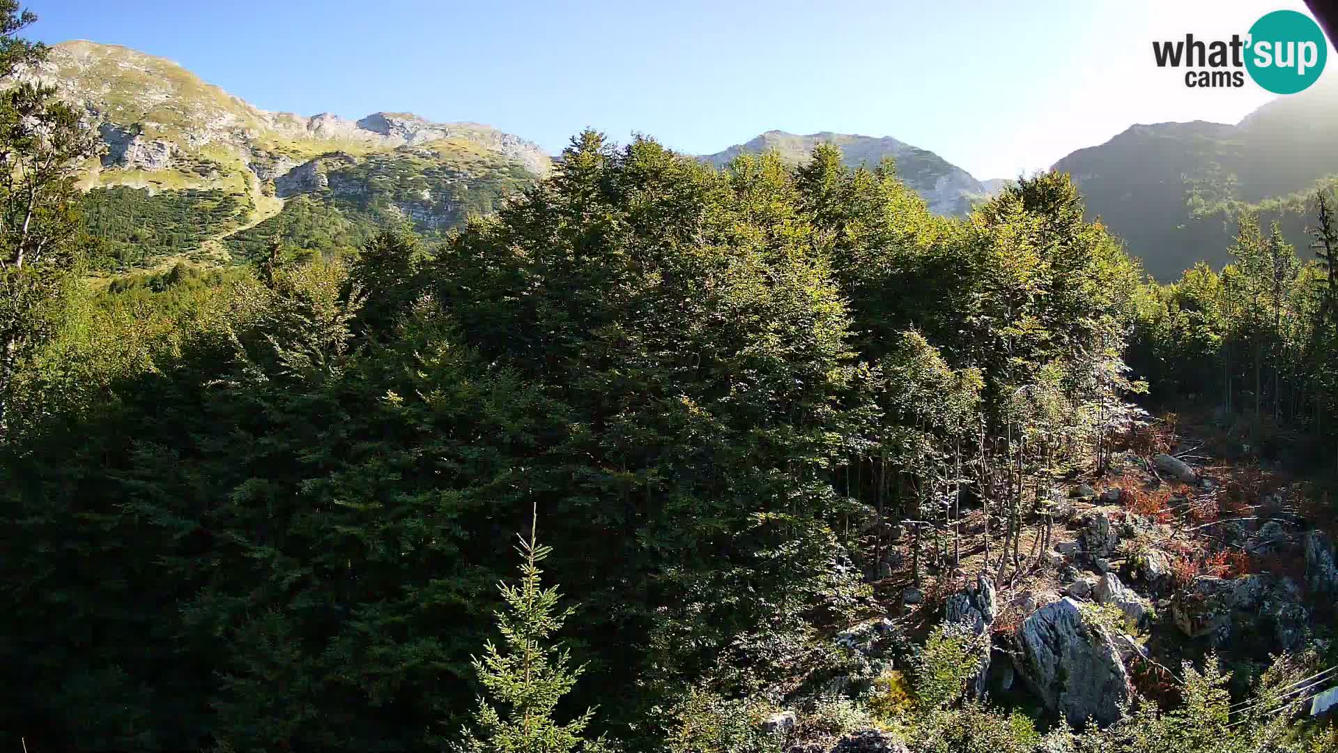 Livecam PLANINA RAZOR (1315) | vue sur Vogel et Globoko