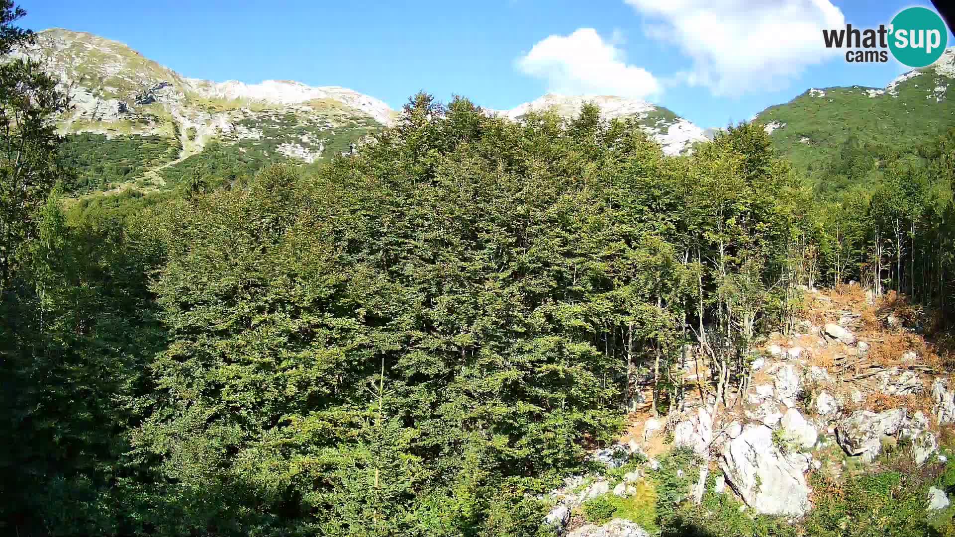 Livecam PLANINA RAZOR (1315) | vue sur Vogel et Globoko