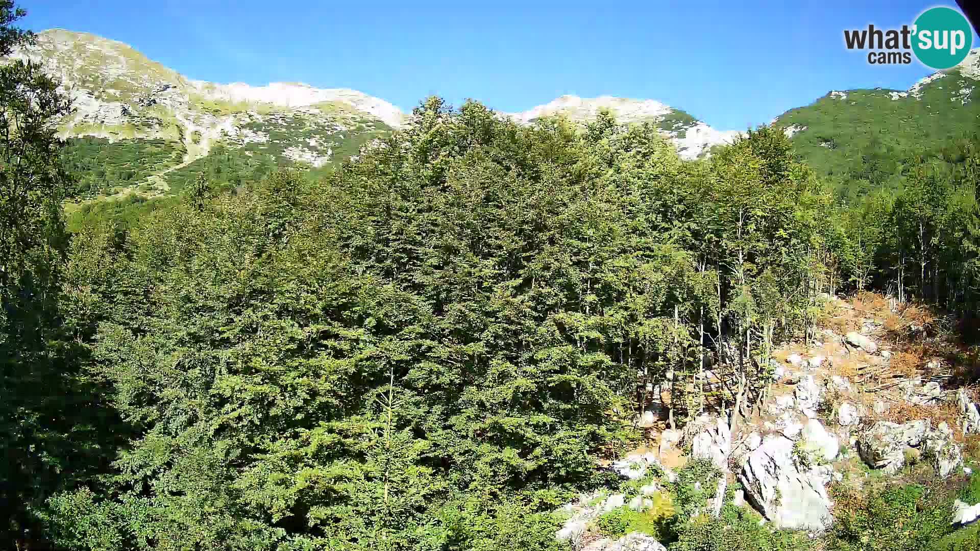 PLANINA RAZOR web kamera (1315) | pogled na Vogel i Globoko