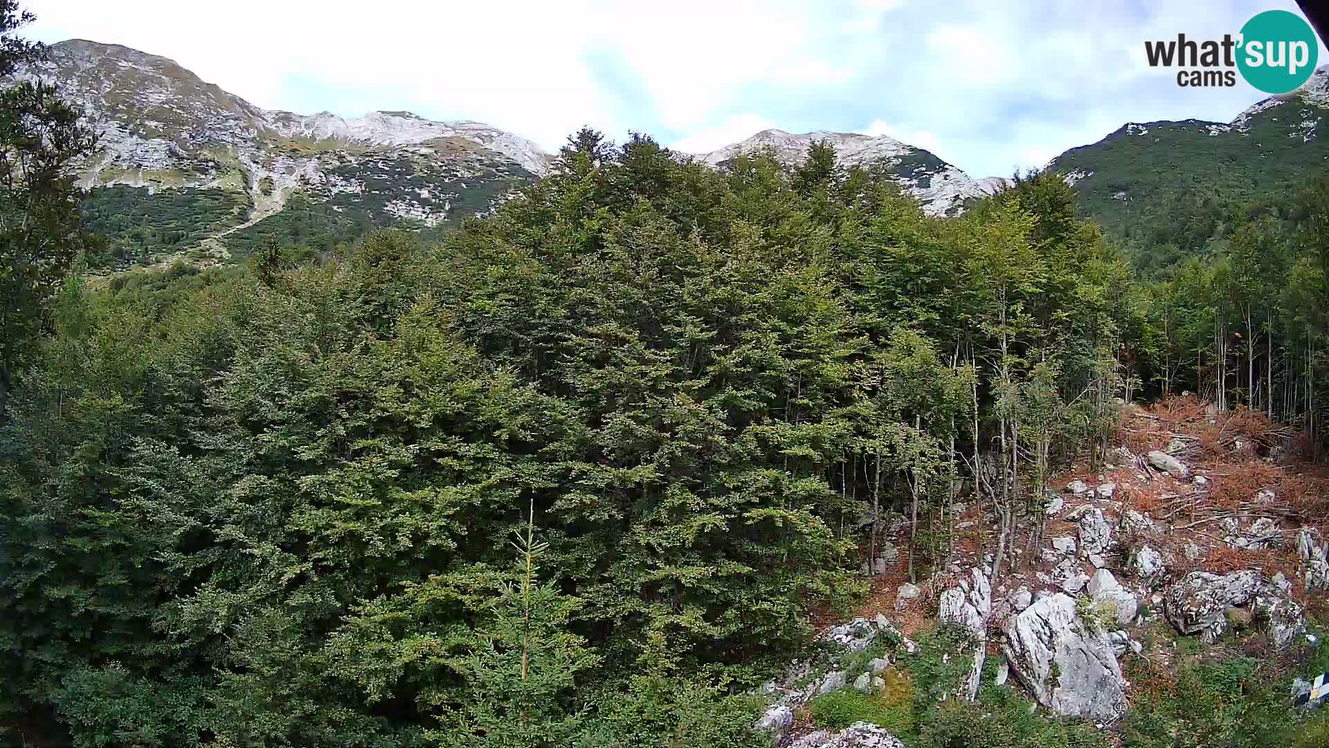 PLANINA RAZOR web kamera (1315) | pogled na Vogel i Globoko