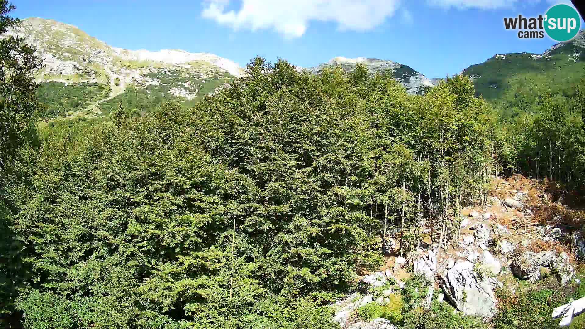 Webcam PLANINA RAZOR (1315) | Blick auf Vogel und Globoko