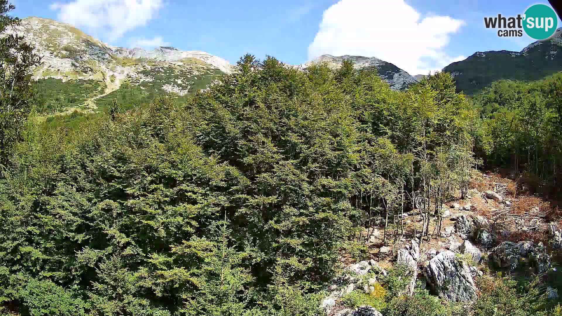 Webcam PLANINA RAZOR (1315) | Blick auf Vogel und Globoko