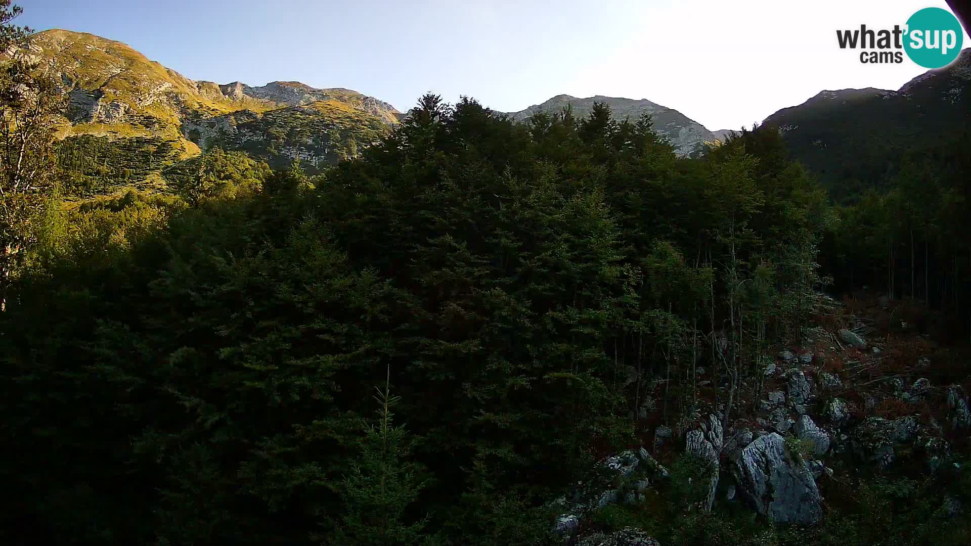 Webcam PLANINA RAZOR (1315) | Blick auf Vogel und Globoko