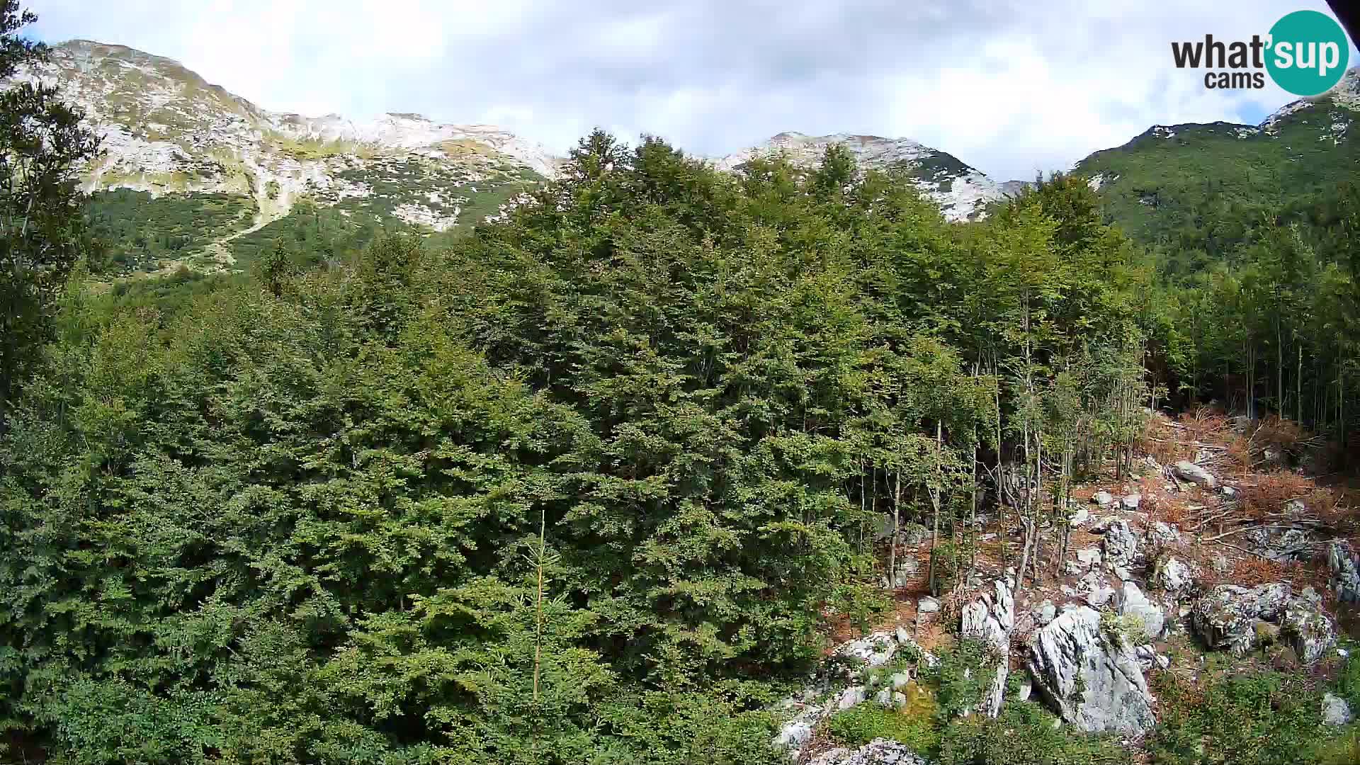 PLANINA RAZOR kamera (1315) | pogled na Vogel in Globoko