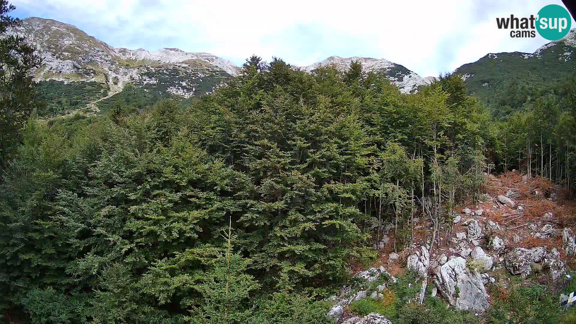 Cámara web PLANINA RAZOR (1315) | vista a Vogel y Globoko