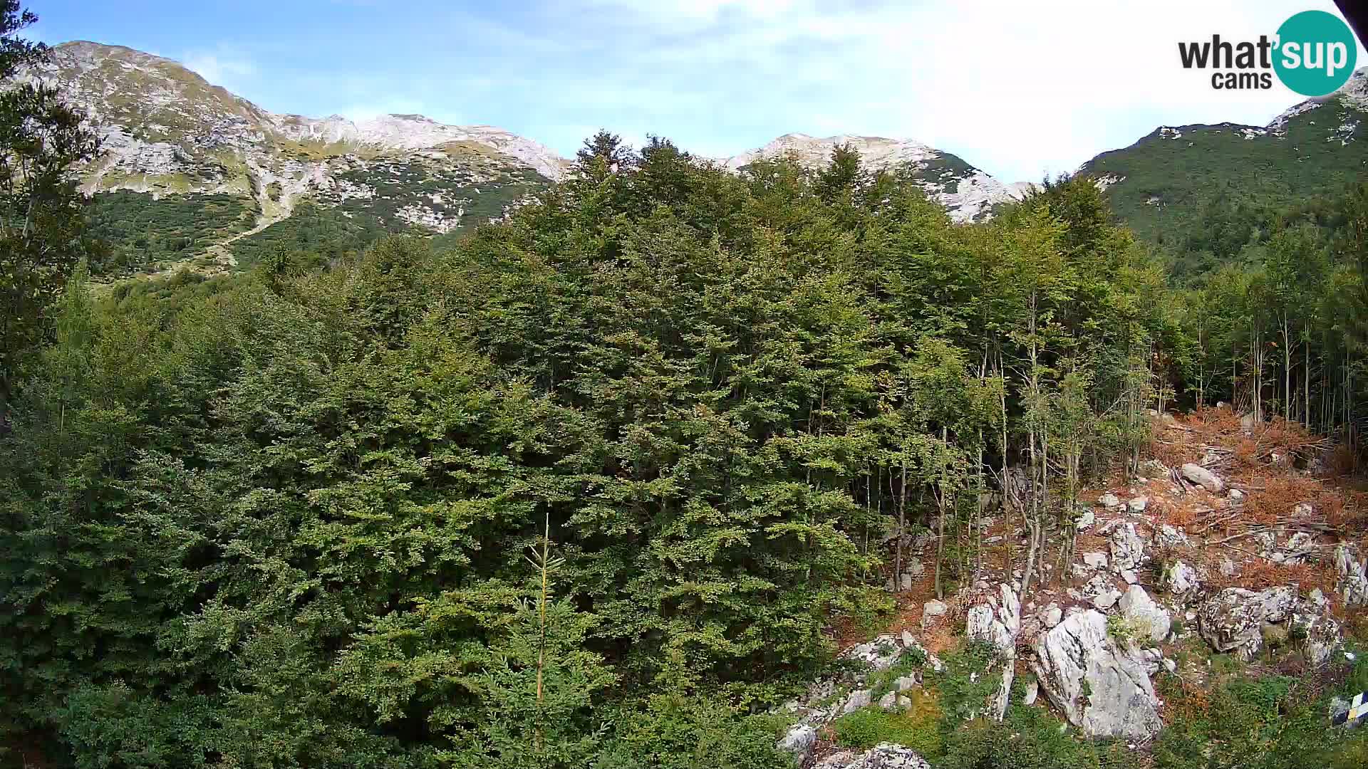 Webcam PLANINA RAZOR (1315) | Blick auf Vogel und Globoko