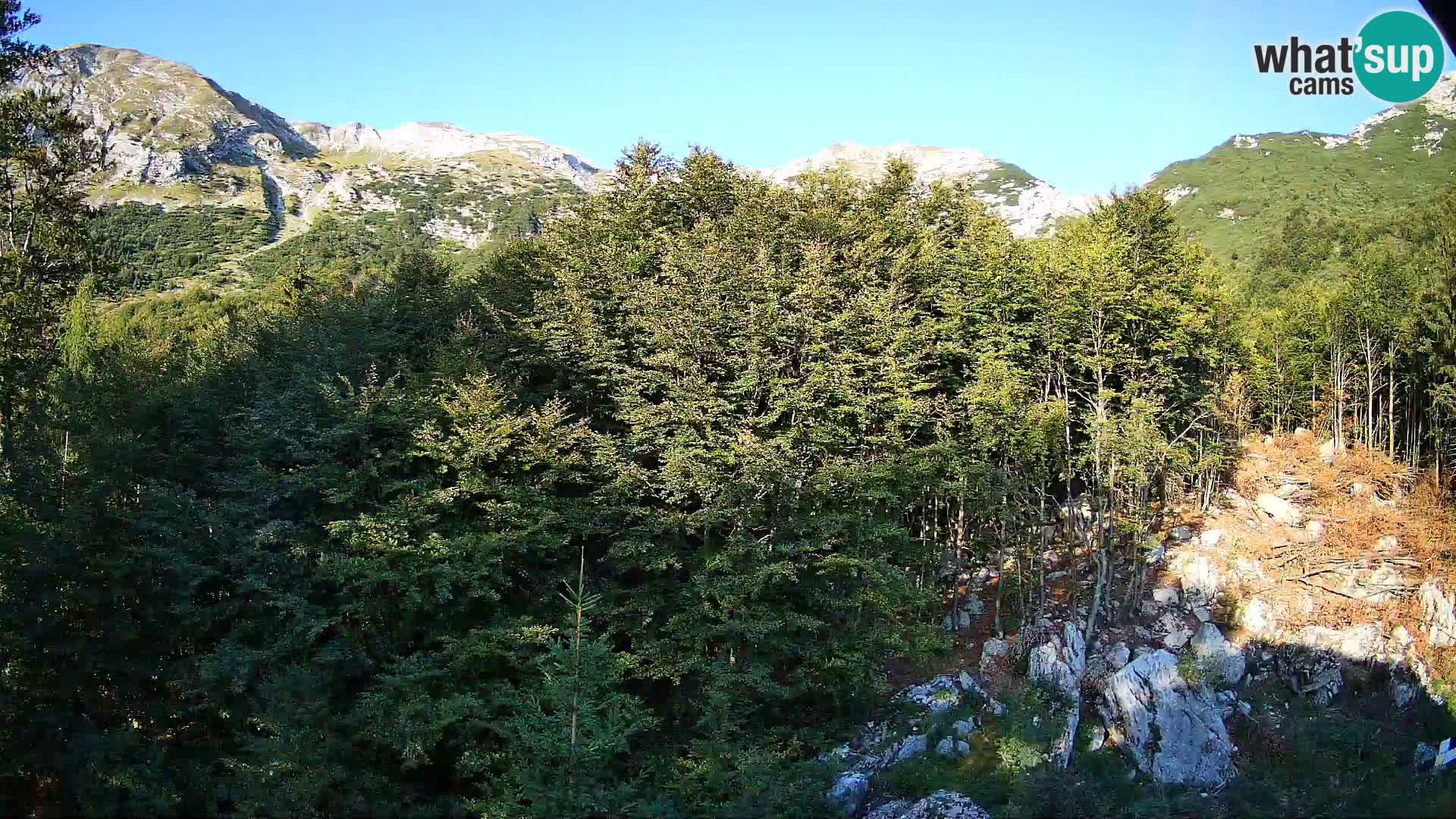 Livecam PLANINA RAZOR (1315) | vue sur Vogel et Globoko