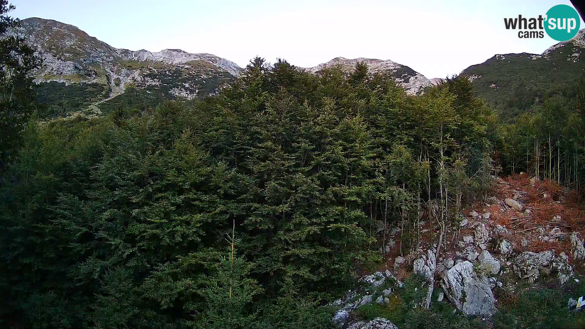 Livecam PLANINA RAZOR (1315) | vue sur Vogel et Globoko