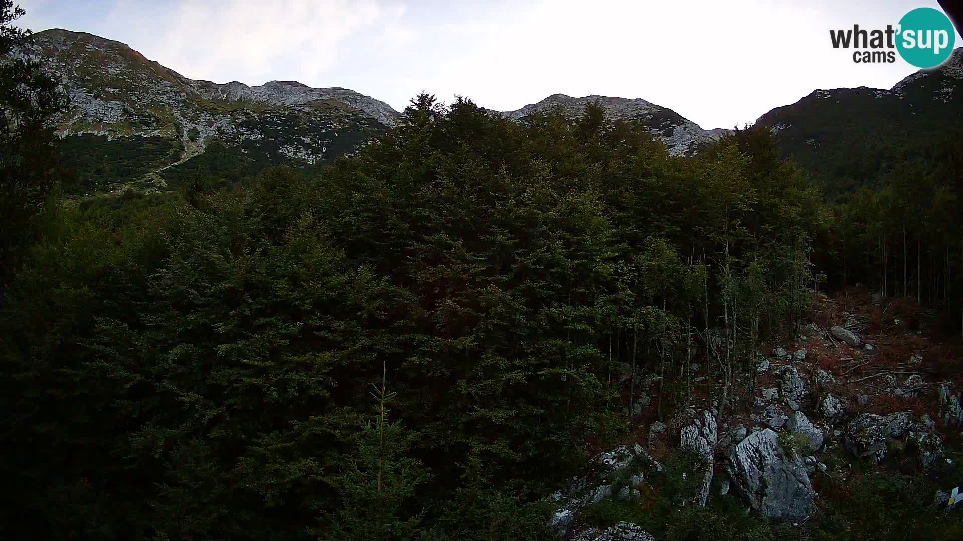 Cámara web PLANINA RAZOR (1315) | vista a Vogel y Globoko