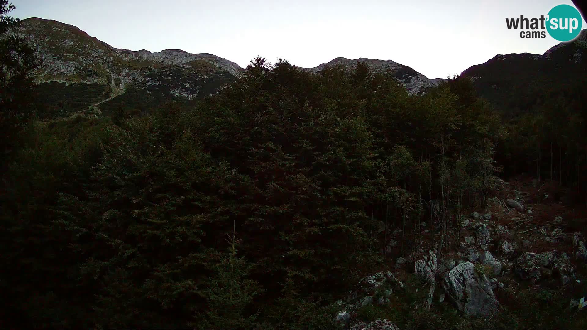 Livecam PLANINA RAZOR (1315) | vue sur Vogel et Globoko