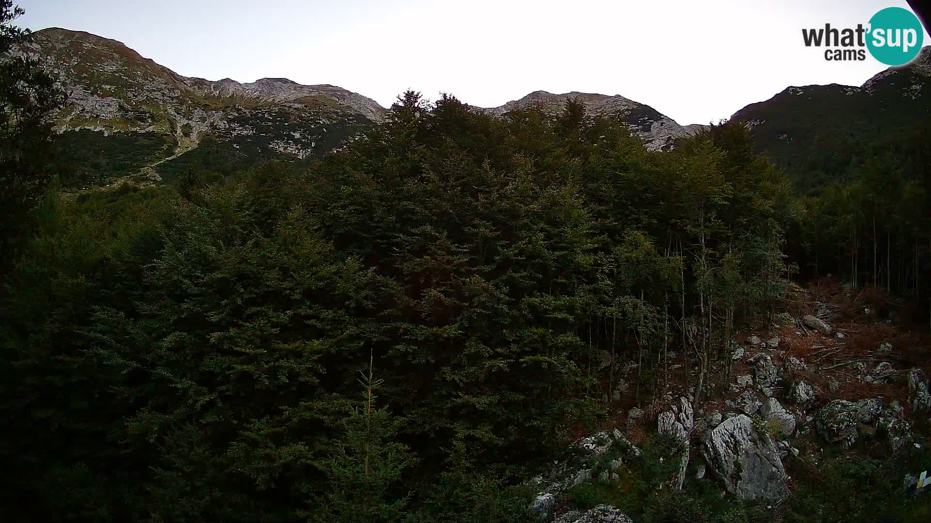 Cámara web PLANINA RAZOR (1315) | vista a Vogel y Globoko