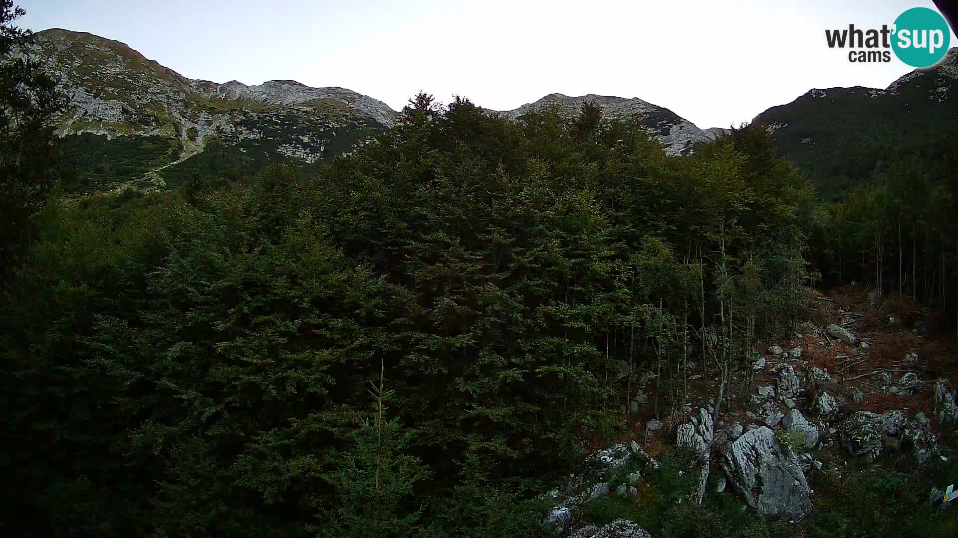 Cámara web PLANINA RAZOR (1315) | vista a Vogel y Globoko