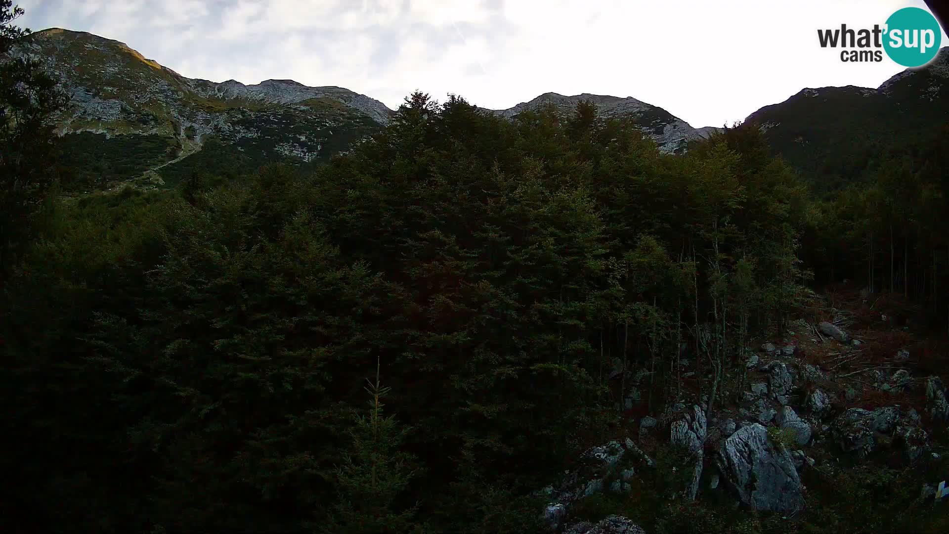 PLANINA RAZOR kamera (1315) | pogled na Vogel in Globoko