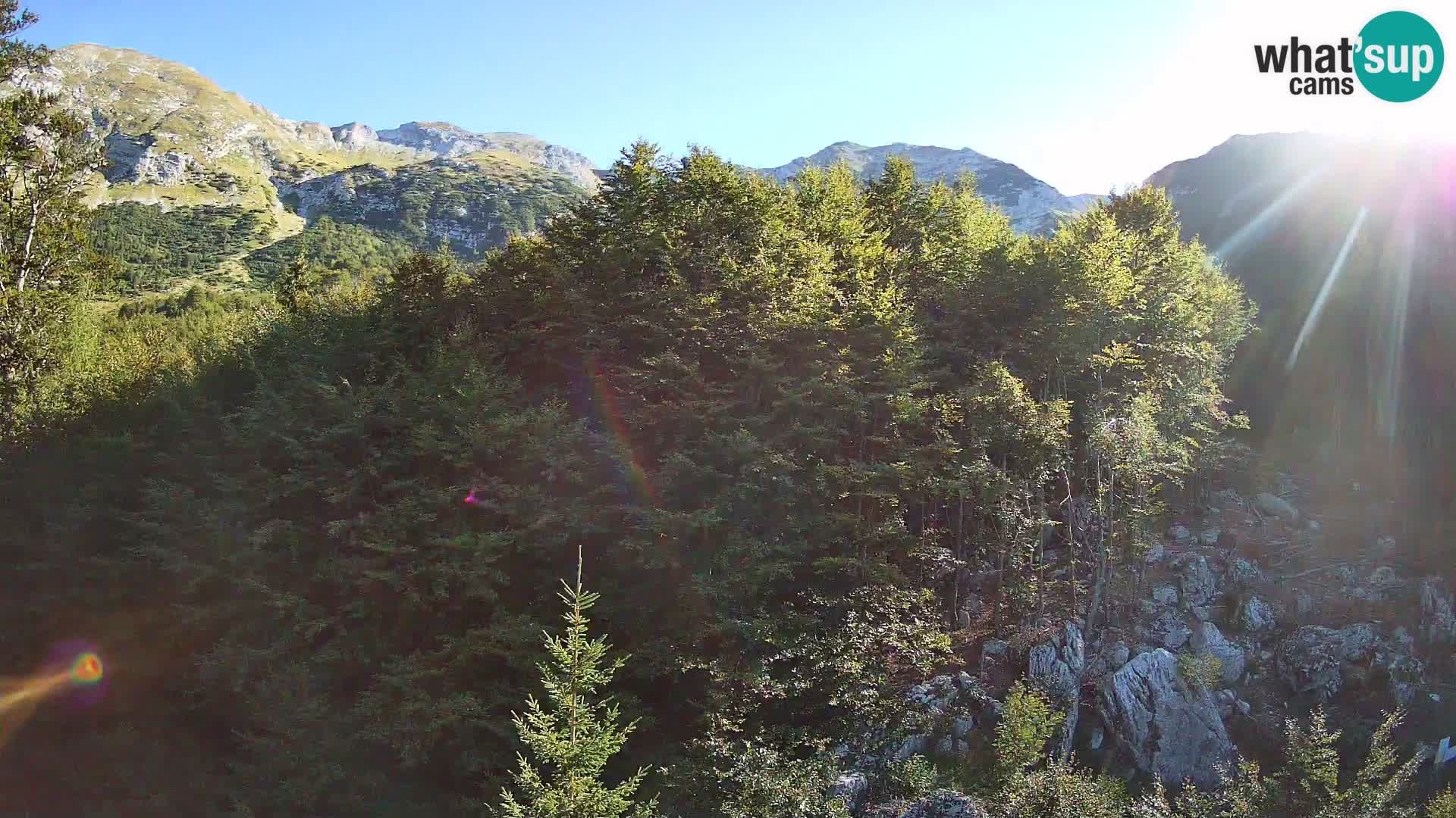 Livecam PLANINA RAZOR (1315) | vue sur Vogel et Globoko