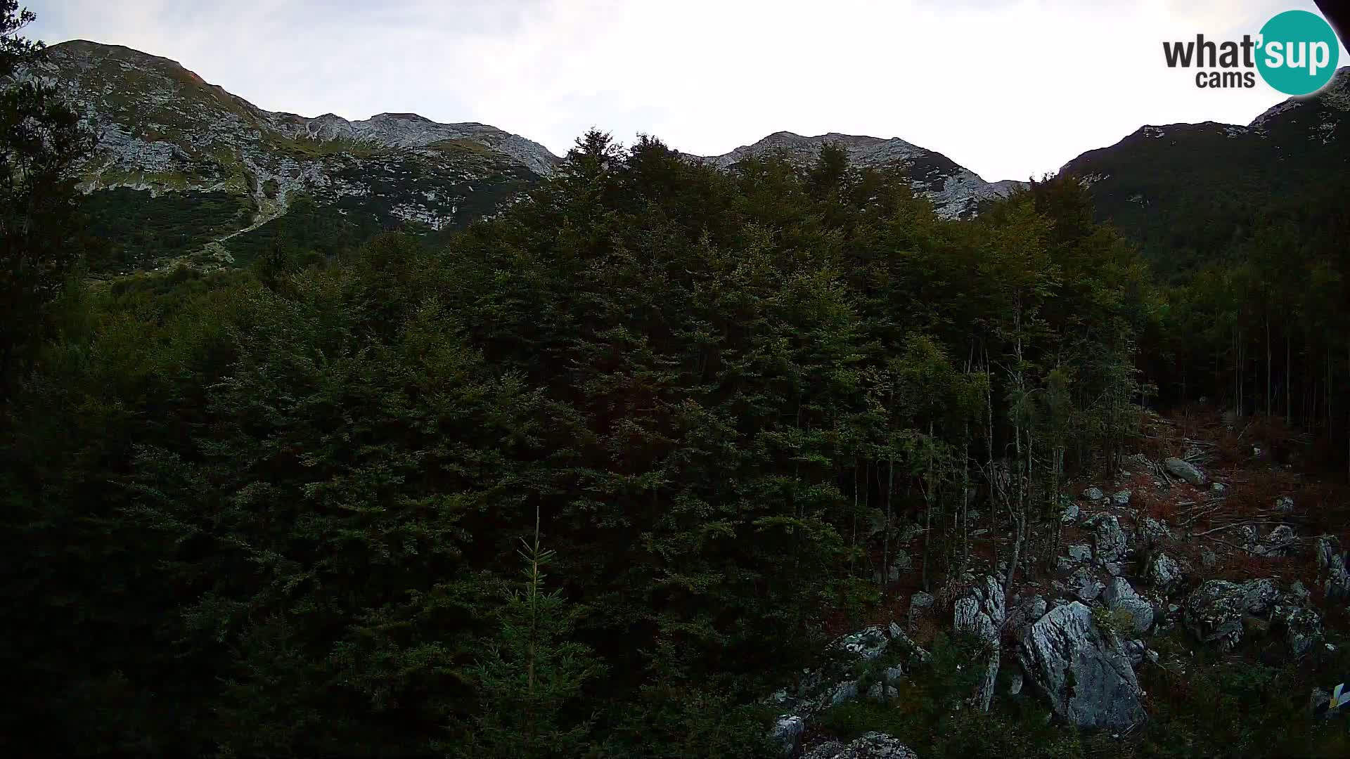 Webcam PLANINA RAZOR (1315) | Blick auf Vogel und Globoko