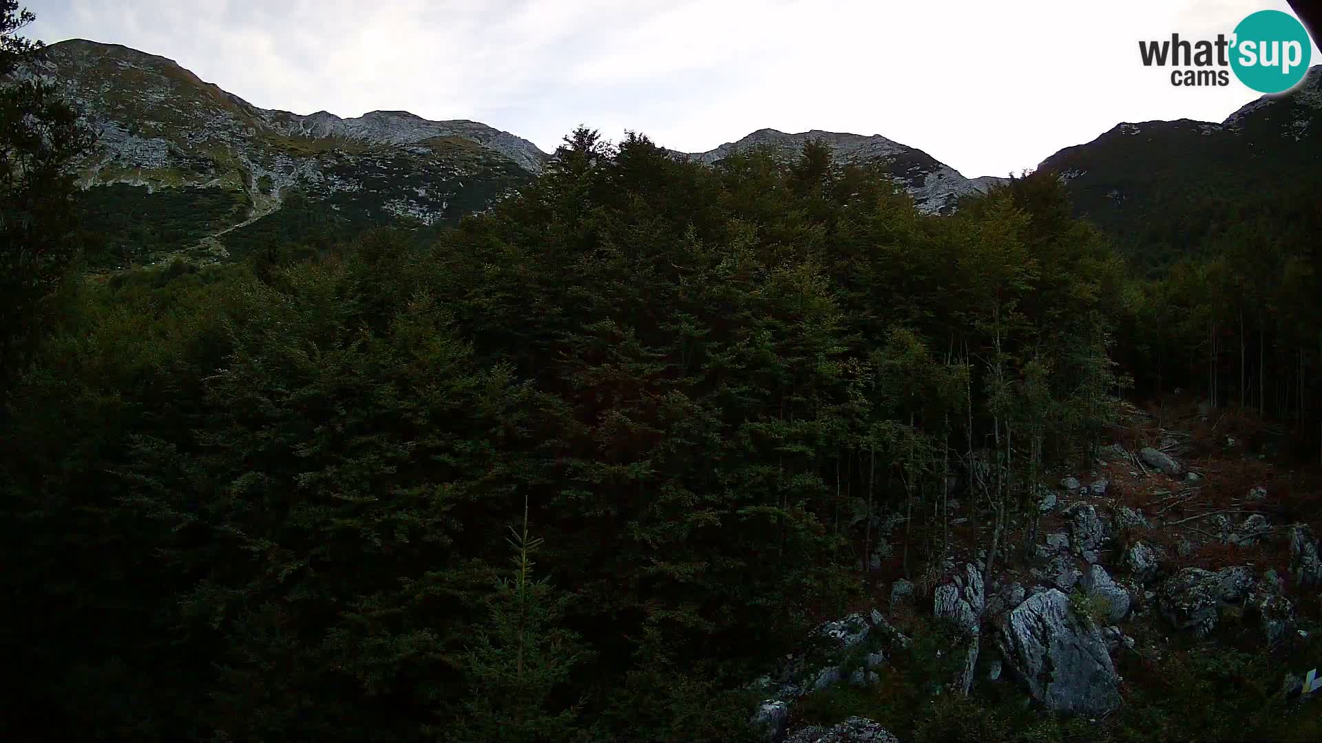 Livecam PLANINA RAZOR (1315) | vue sur Vogel et Globoko