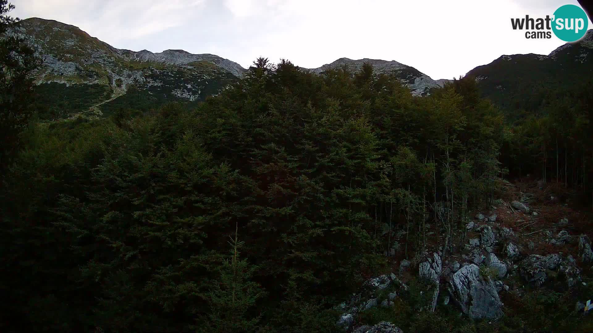 PLANINA RAZOR web kamera (1315) | pogled na Vogel i Globoko