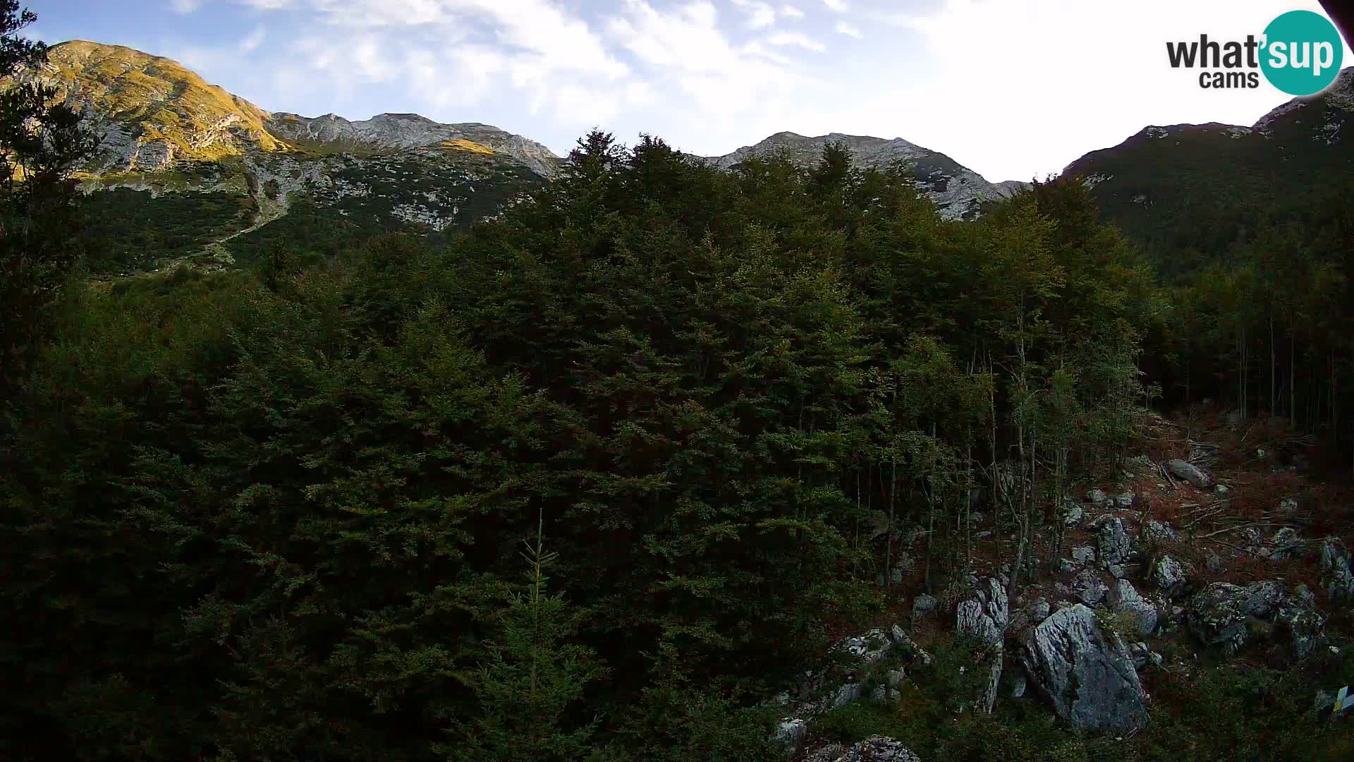PLANINA RAZOR kamera (1315) | pogled na Vogel in Globoko