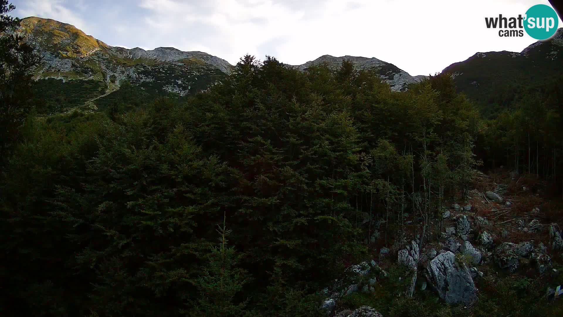 PLANINA RAZOR kamera (1315) | pogled na Vogel in Globoko
