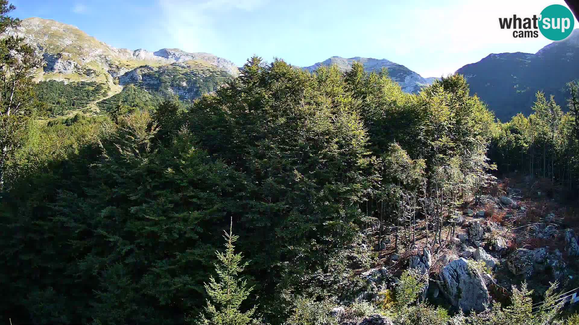 PLANINA RAZOR web kamera (1315) | pogled na Vogel i Globoko
