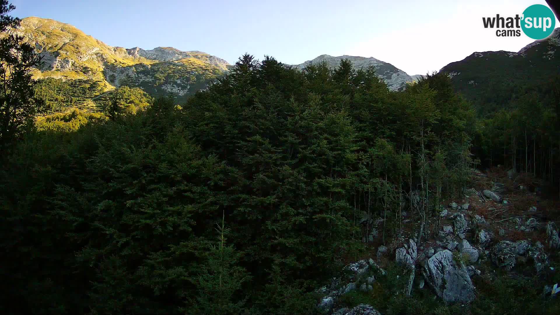 Livecam PLANINA RAZOR (1315) | vue sur Vogel et Globoko
