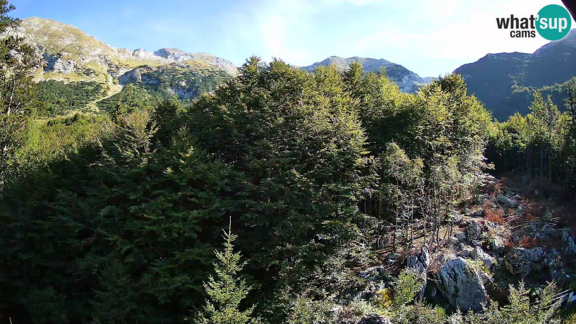 Livecam PLANINA RAZOR (1315) | vue sur Vogel et Globoko