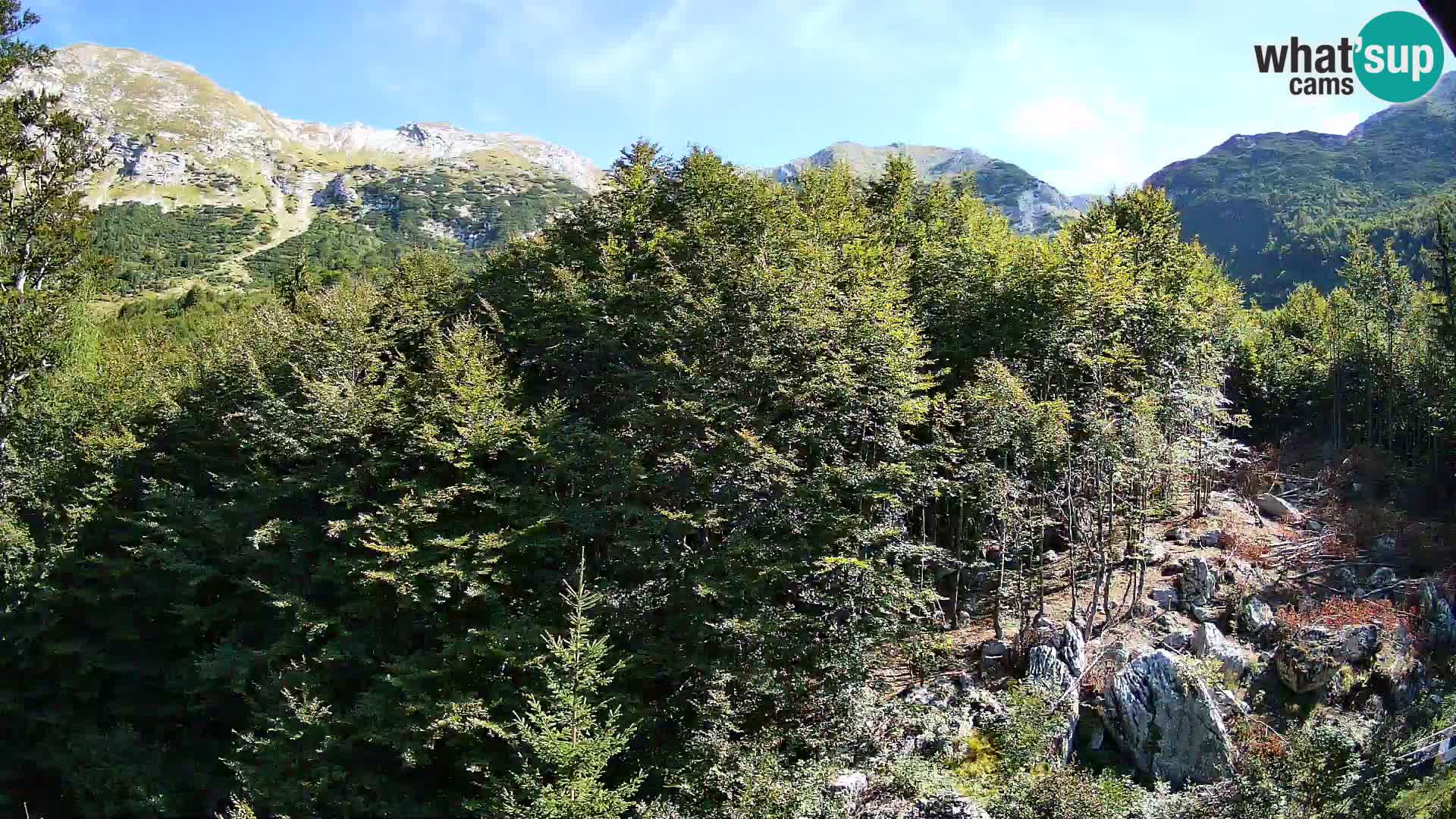 Cámara web PLANINA RAZOR (1315) | vista a Vogel y Globoko